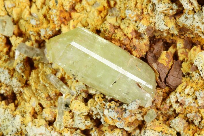 Lustrous, Yellow Apatite Crystals on Feldspar - Morocco #185465